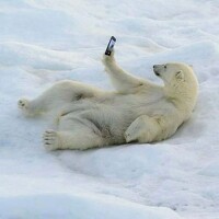 Портрет фотографа (аватар) Кристина