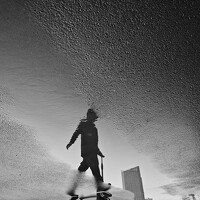 Портрет фотографа (аватар) yao qinfeng (qinfeng yao)