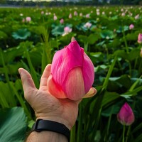 Фотография Алексей Ефимов (Aleksei Efimov) Портрет фотографа (аватар) Алексей Ефимов (Aleksei Efimov)