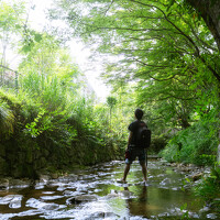 Портрет фотографа (аватар) tunemori