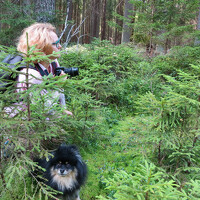 Портрет фотографа (аватар) Anna Orlova