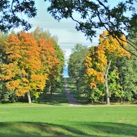 Фотография Pavel Cherkas Портрет фотографа (аватар) Pavel Cherkas