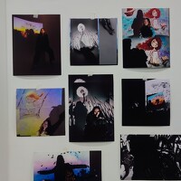 Портрет фотографа (аватар) Eugene Tsarev (Eugene)