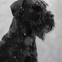 Портрет фотографа (аватар) Tatiana Piskun