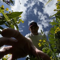 Портрет фотографа (аватар) Prikhodko Denis