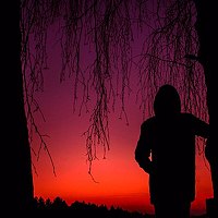 Портрет фотографа (аватар) Родион (Ragozin)