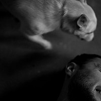 Портрет фотографа (аватар) Егор Артамошин (Ego  Artamoshin)