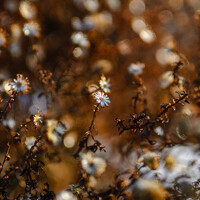Фотография Даниил Берко (Daniil Berko) Портрет фотографа (аватар) Даниил Берко (Daniil Berko)