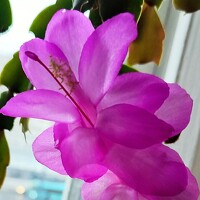 Фотография Helen Zet Портрет фотографа (аватар) Helen Zet