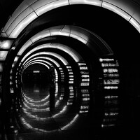 Фотография Левченко Дарья (Darya Levchenko) Портрет фотографа (аватар) Левченко Дарья (Darya Levchenko)