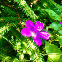 Портрет фотографа (аватар) Екатерина Львовна (Быкова)