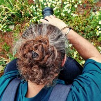 Портрет фотографа (аватар) Davoud Naeimi