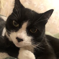 Фотография Elena P Портрет фотографа (аватар) Elena P