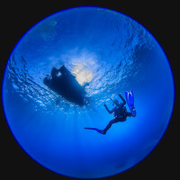 Портрет фотографа (аватар) Carlos Ortolá Orihuel