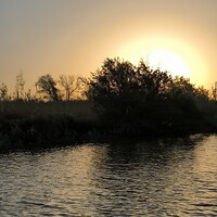 Портрет фотографа (аватар) Е