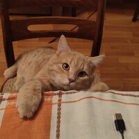 Портрет фотографа (аватар) Иван Гречко (Ivan Grechko)