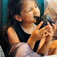 Портрет фотографа (аватар) Warda kanwal