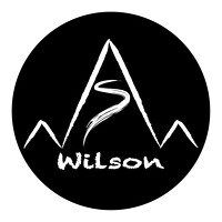 Портрет фотографа (аватар) Wang Shun (Wilson最求其)