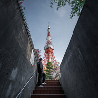 Портрет фотографа (аватар) ZHAN XIN (詹鑫)