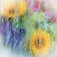 Портрет фотографа (аватар) Han Bada (HAN CHUL DONG)