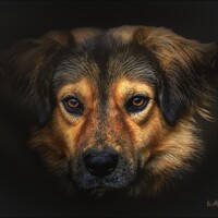 Портрет фотографа (аватар) Sawicki Jarosław