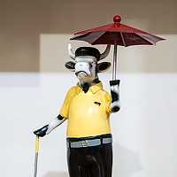 Портрет фотографа (аватар) Сергей