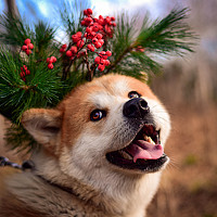 Фотография Vladislav Портрет фотографа (аватар) Vladislav