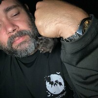 Портрет фотографа (аватар) Thiago Bernardi Vieira