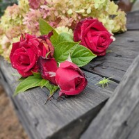 Портрет фотографа (аватар) Елена Карпова (Elena Karpova)