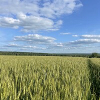 Портрет фотографа (аватар) Serj Egorov