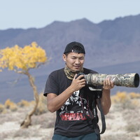 Фотография nairaa batmunh (Nankir batmunh) Портрет фотографа (аватар) nairaa batmunh (Nankir batmunh)