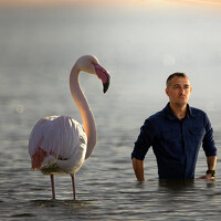 Портрет фотографа (аватар) Liviu Cojocaru