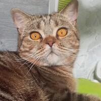 Портрет фотографа (аватар) Алексей