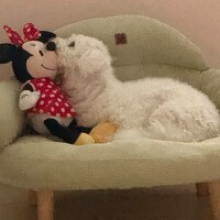 Портрет фотографа (аватар) Константин Ким (KIM KONSTANTIN)