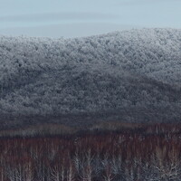 Портрет фотографа (аватар) Borisov Yuri (Yuri Borisov)