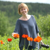 Портрет фотографа (аватар) Наталья Матюшина (Natalya Matyushina)