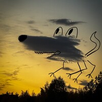 Портрет фотографа (аватар) OlegSarTut