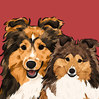 Портрет фотографа (аватар) Xiong Jieyu (Jieyu Xiong)