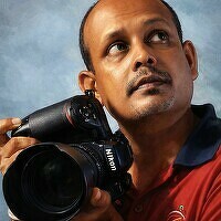 Портрет фотографа (аватар) Jayasiri Wickramasinghe