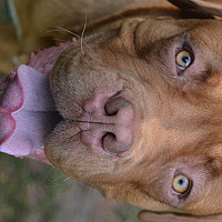 Портрет фотографа (аватар) Vladimir Beresnev