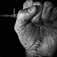 Портрет фотографа (аватар) Erve Miozzo