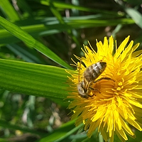 Портрет фотографа (аватар) Константин Сергеевич