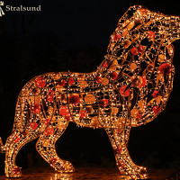 Портрет фотографа (аватар) António Manuel de Pereira (António Manuel de Assunção Perei)