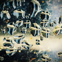 Портрет фотографа (аватар) Дмитрий Огольцов (Dmitry Ogoltsov)