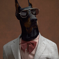 Портрет фотографа (аватар) wulankf