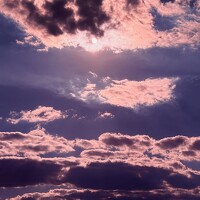 Портрет фотографа (аватар) Irina LS