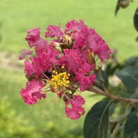 Портрет фотографа (аватар) Rudranil C (রুদ্রনীল)