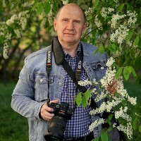 Портрет фотографа (аватар) Юрий Рейценштейн