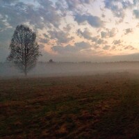 Портрет фотографа (аватар) Макс W.