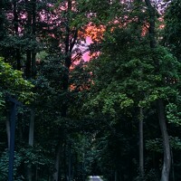 Портрет фотографа (аватар) Чикунова Надежда